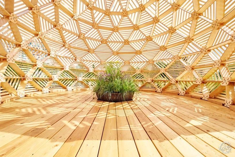 1597890285446019.jpg 42.jpg