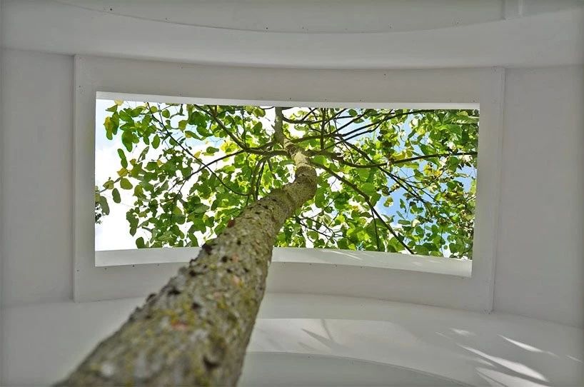 1597889798595932.jpg 13.jpg