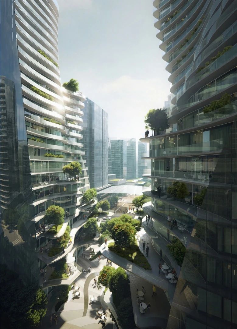 1584586680817960.jpg 7.jpg