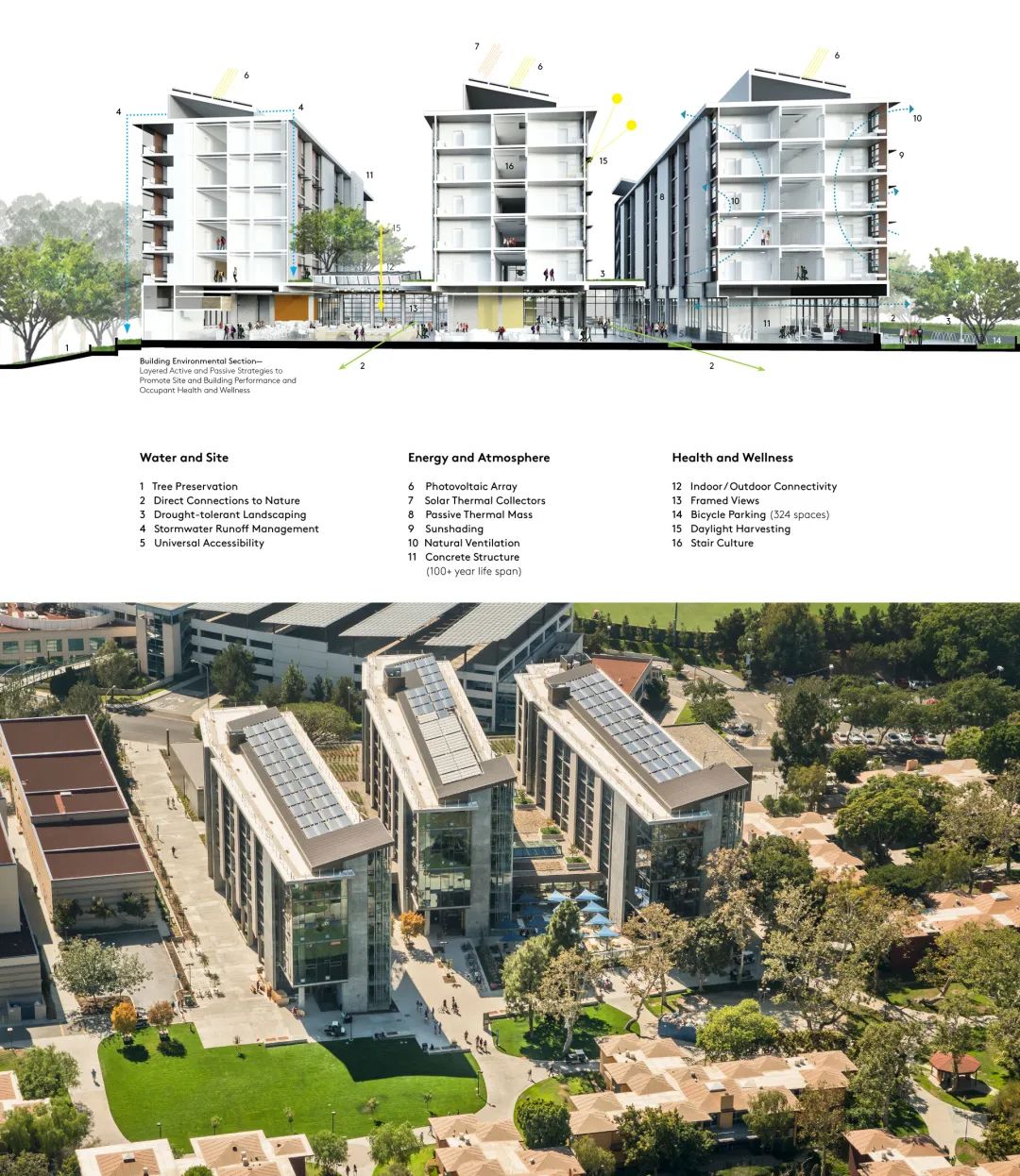 1595473322304743.jpg 21.jpg