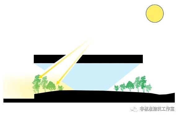 1583204470757122.jpg 28.jpg