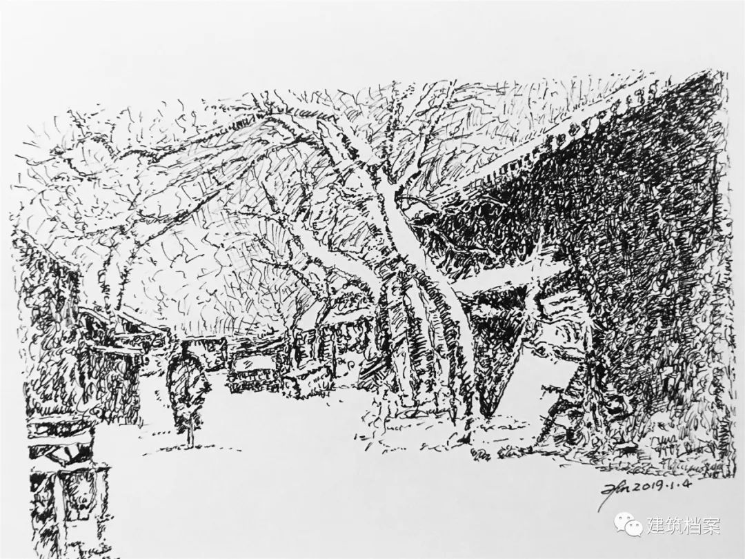 1596425387814406.jpg 5.jpg