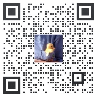 7_11 排版训练营3.0 建筑小学堂+公众号.png