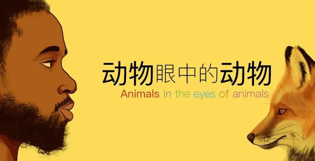 1602295744120952.png image.png