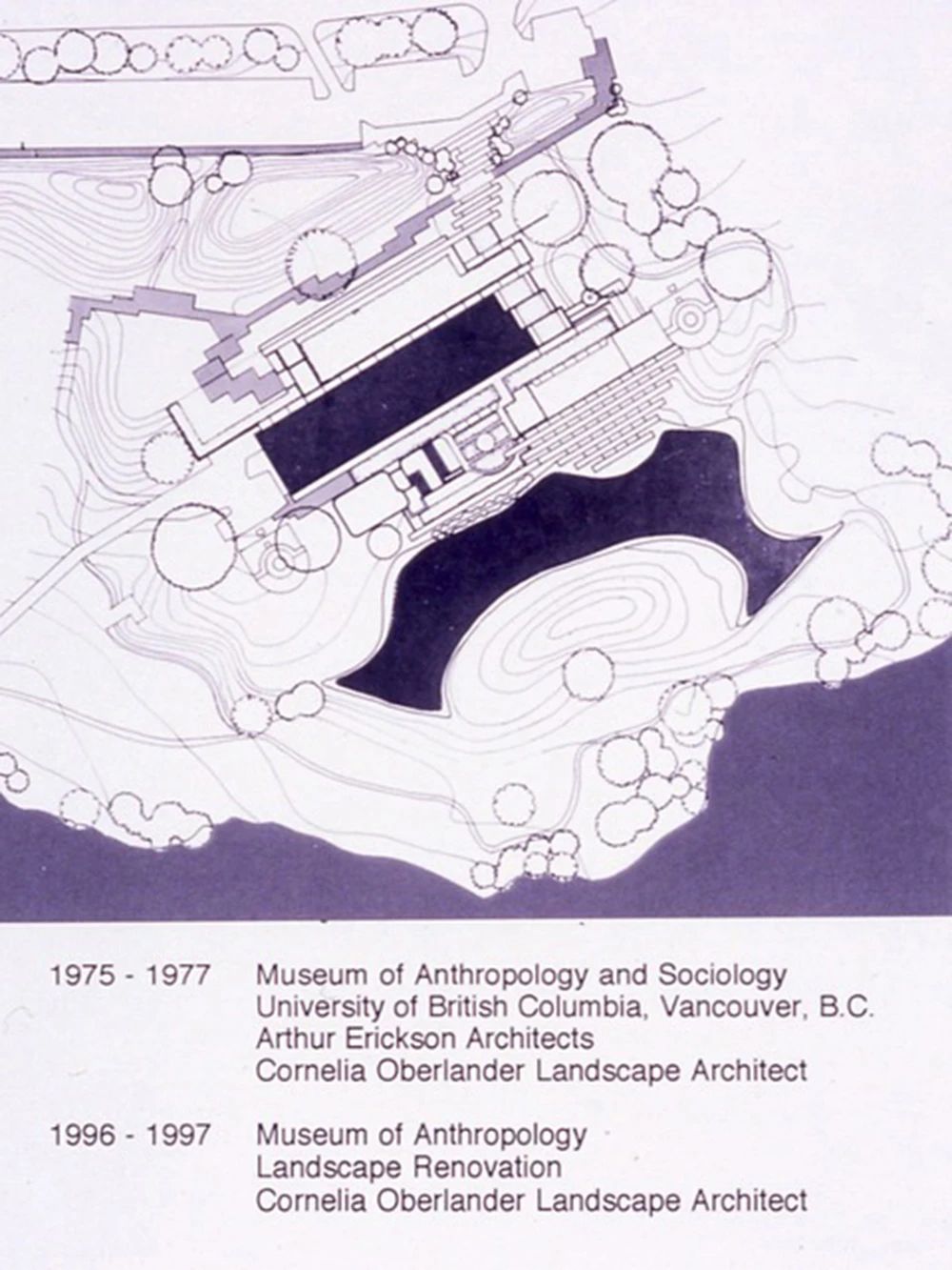 1594347004542504.jpg 20.jpg