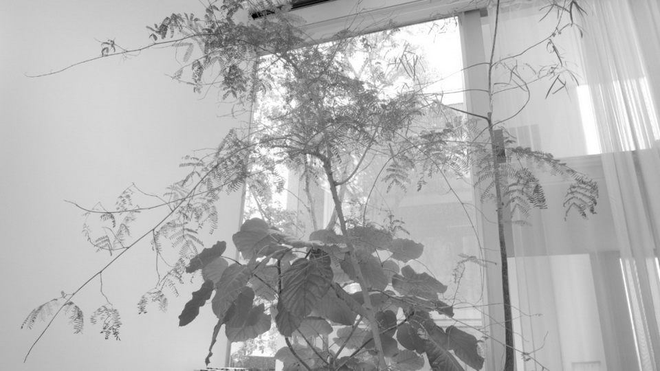 1603963618374717.jpg 13.jpg