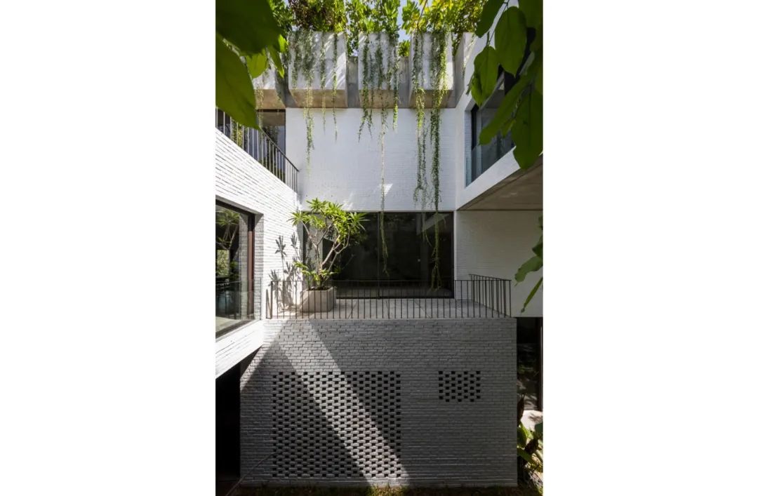 1596165359146427.jpg 67.jpg