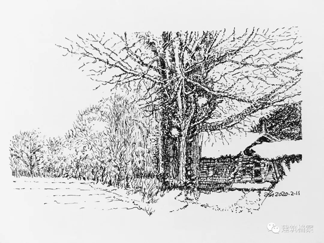 1596423413499108.jpg 4.jpg