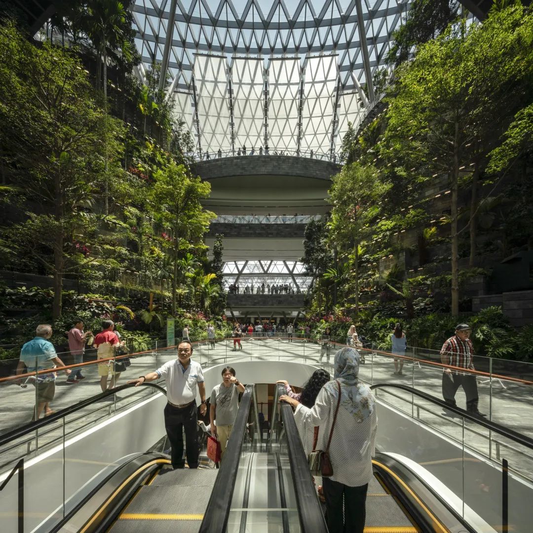 1595473211301976.jpg 17.jpg