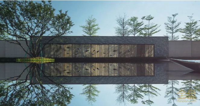 1585279081813031.jpg 2.jpg