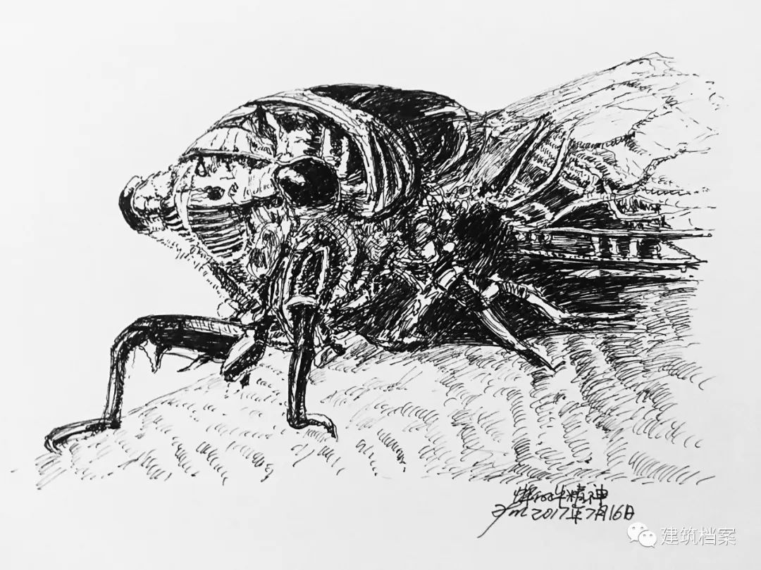 1596423712961548.jpg 23.jpg