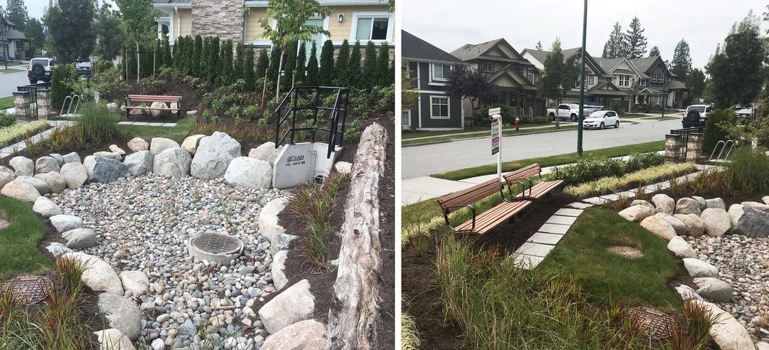 1595473070973566.jpg 13.jpg