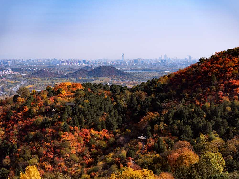 1597285829432019.png 2.png