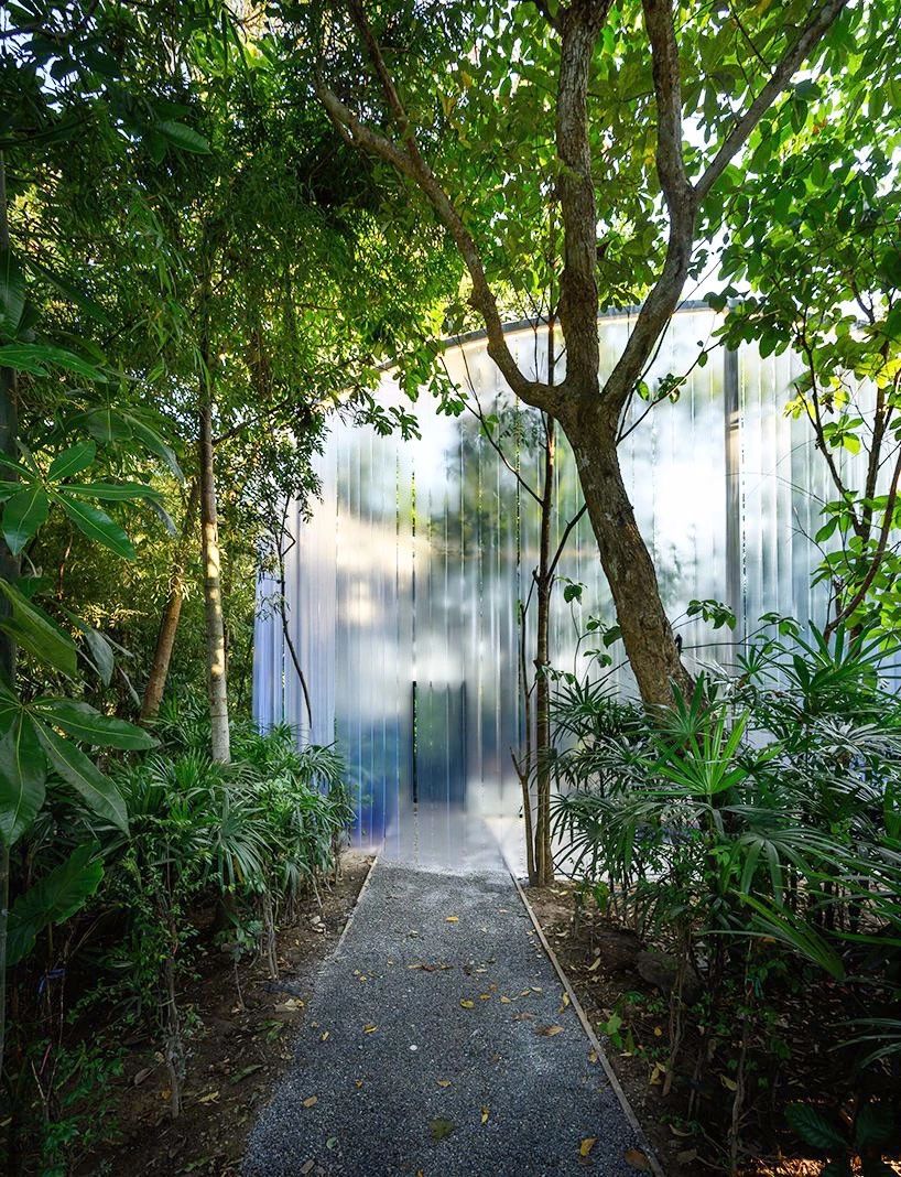 1584415639268514.jpg 12.jpg