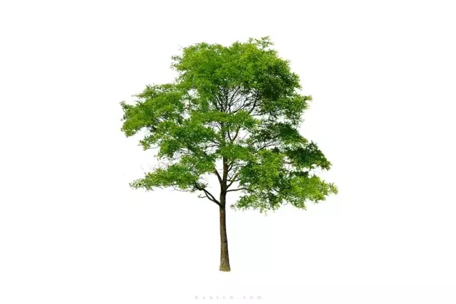 1560994721519746.jpg 640.webp (3).jpg