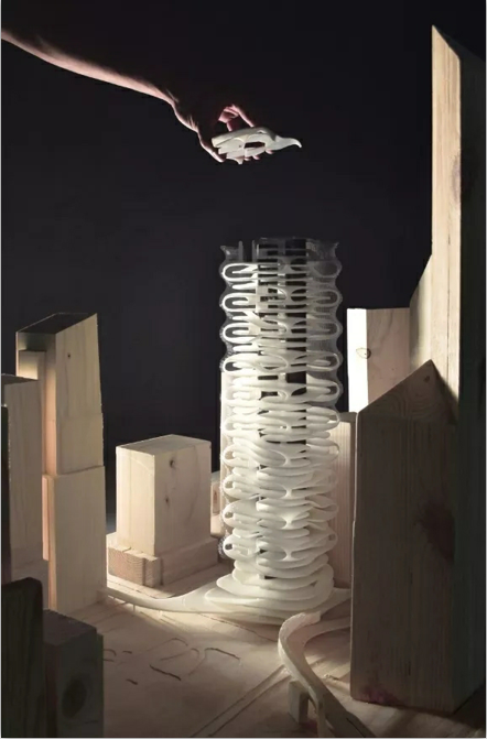 1581910282269242.png 77.png