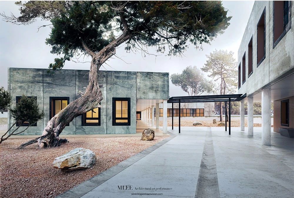 1583894079495075.jpg 5.jpg