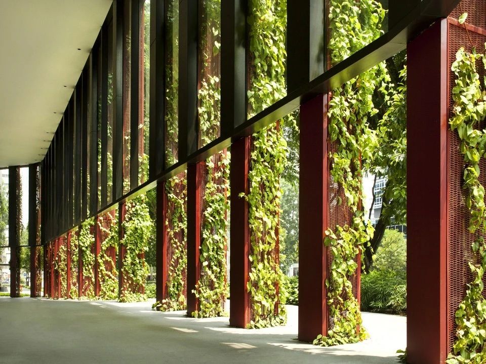 1588915469507646.jpg 6.jpg