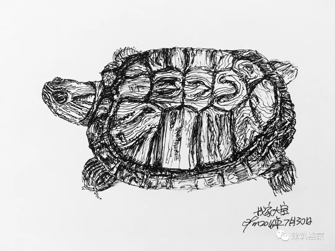 1596423733270527.jpg 25.jpg