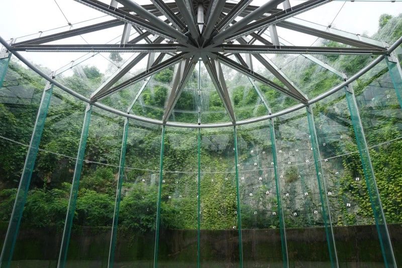 1585107680137243.jpg 10.jpg