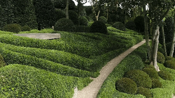 1587436023699451.jpg 10.jpg