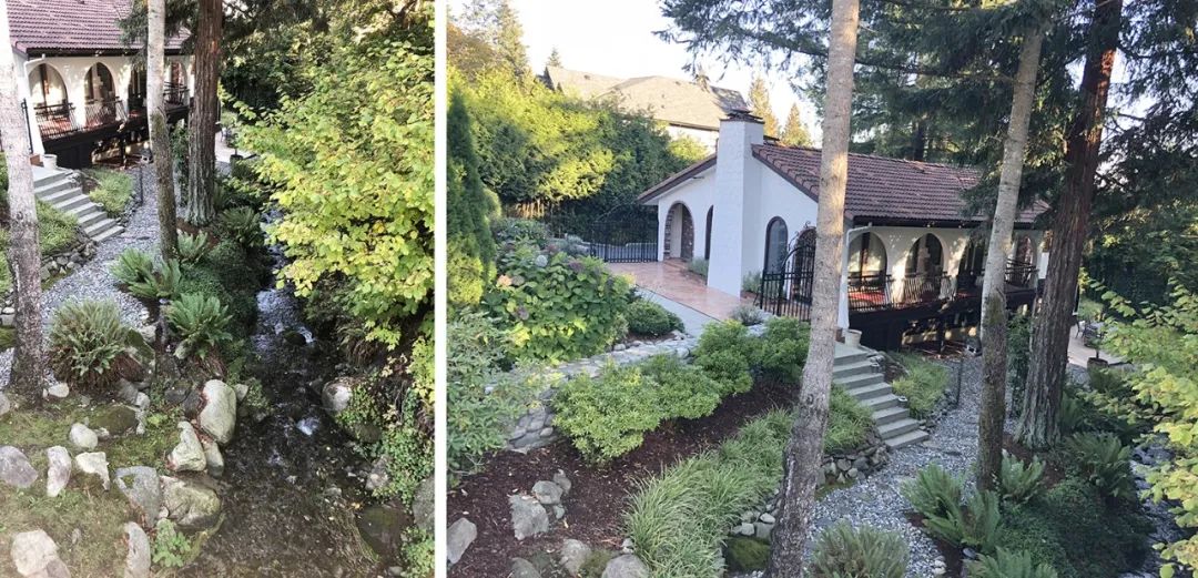 1595473111528208.jpg 222.jpg