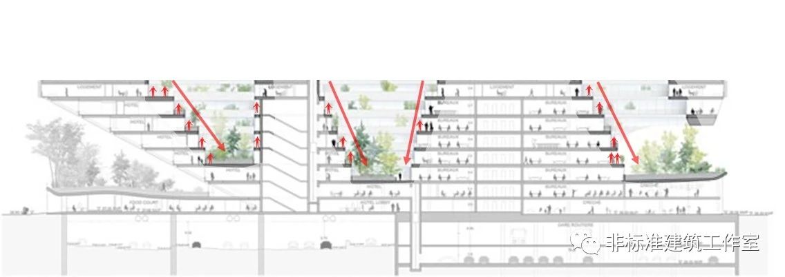 1583204526506595.jpg 31.jpg