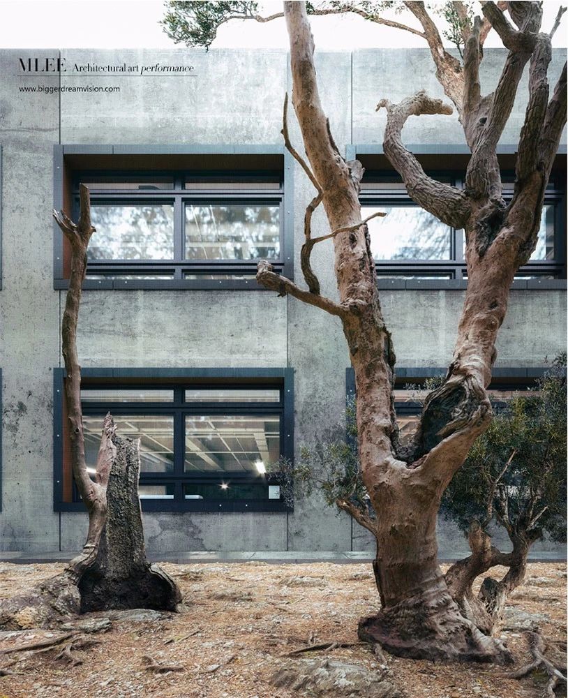 1583894087319919.jpg 6.jpg