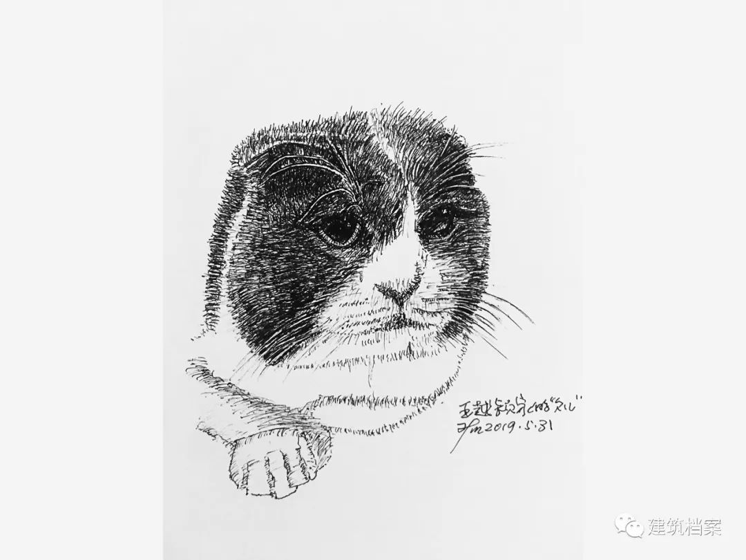 1596423756896810.jpg 27.jpg