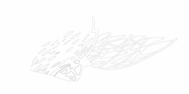 1550477127188022.gif