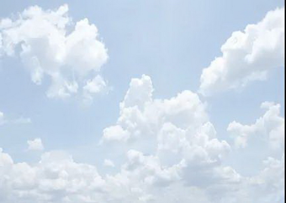 1615469155371806.jpg 10.jpg