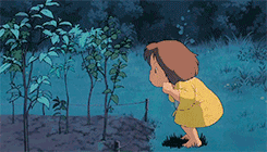 111.gif