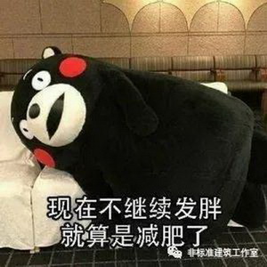 1606211635910542.jpg 2.jpg