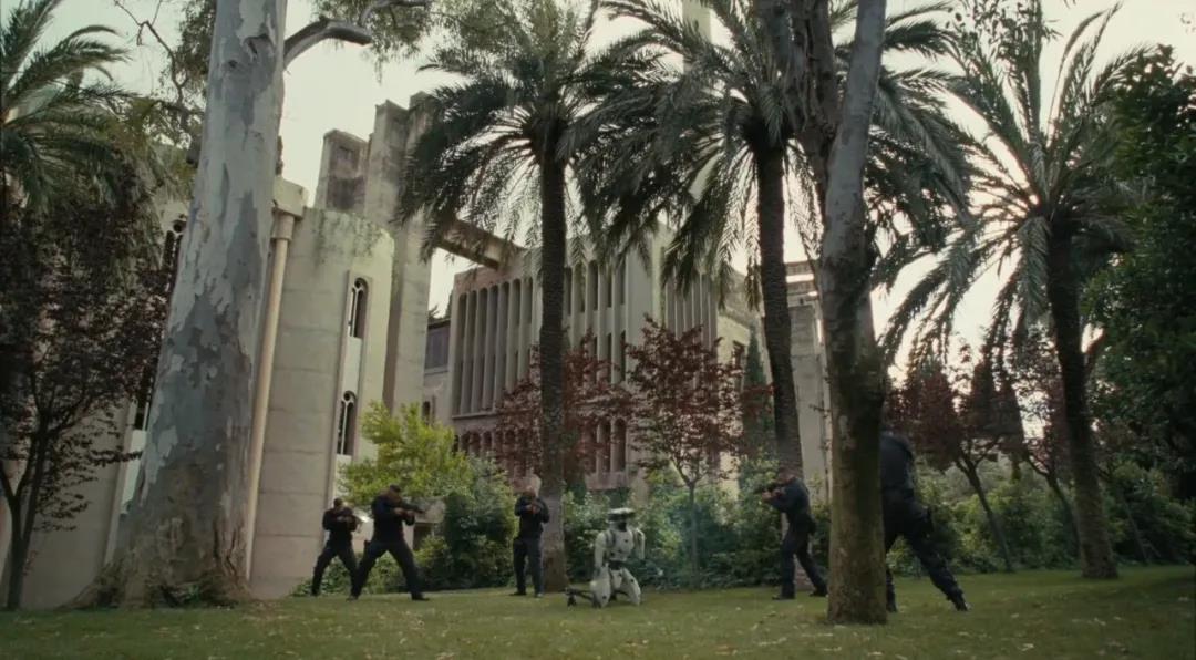 1588916651796410.jpg 27.jpg