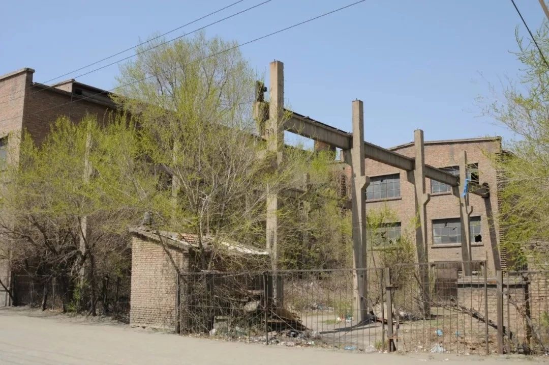 1586230716722480.jpg 3.jpg